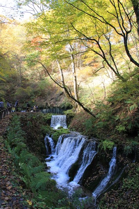 輕井澤 白絲瀑布|白絲瀑布 白雪皚皚白糸の滝，東京近郊旅遊輕井澤景點!